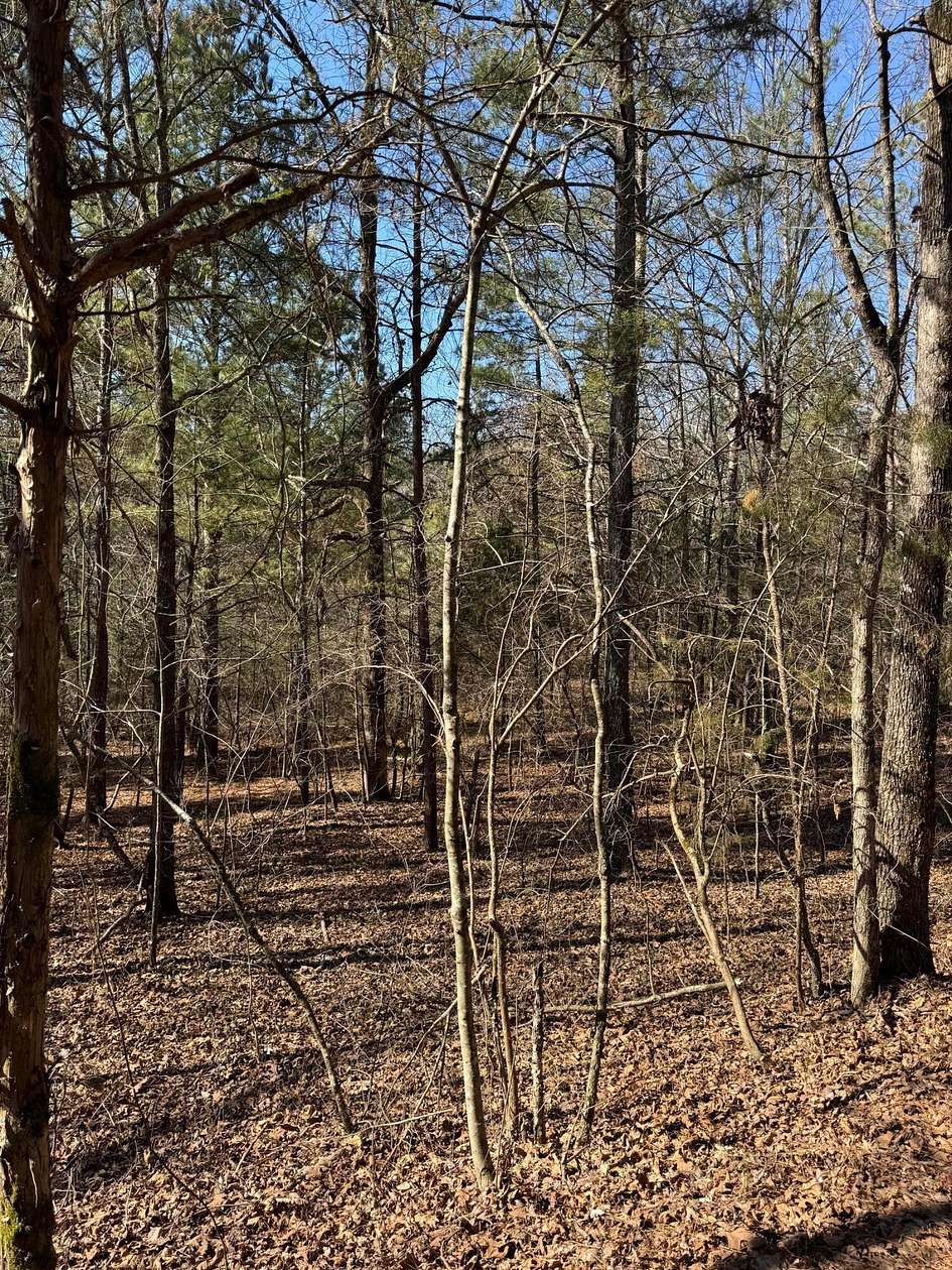 23.1 Acres of Recreational Land for Sale in Harrison, Tennessee