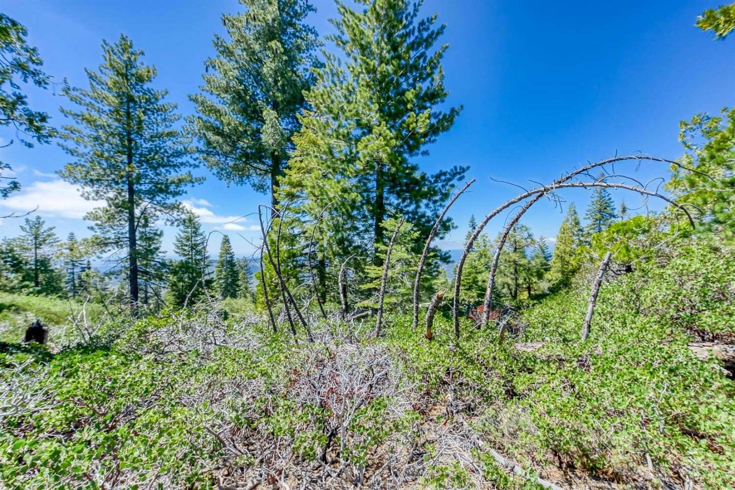 0.47 Acres of Residential Land for Sale in Shaver Lake, California