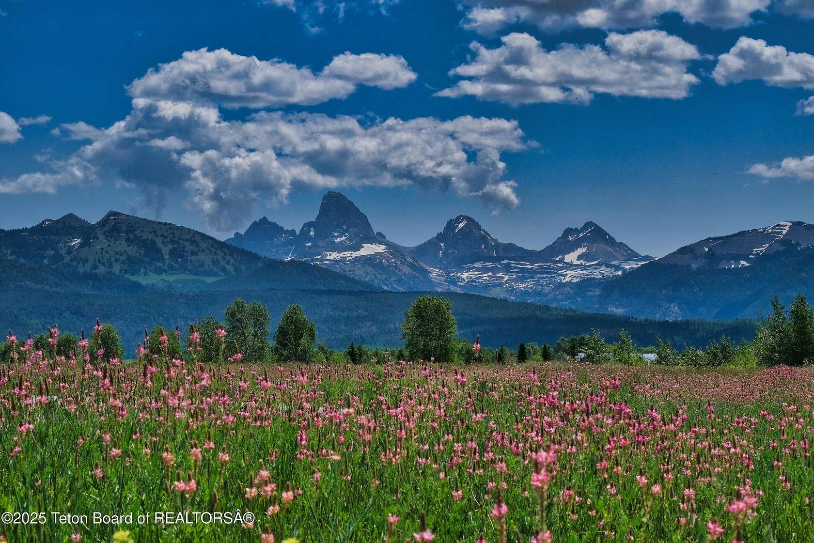 2.5 Acres of Residential Land for Sale in Tetonia, Idaho