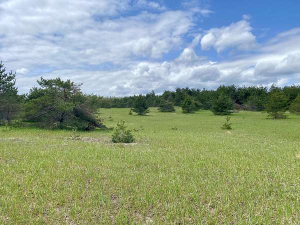 11.5 Acres of Land for Sale in Gaylord, Michigan