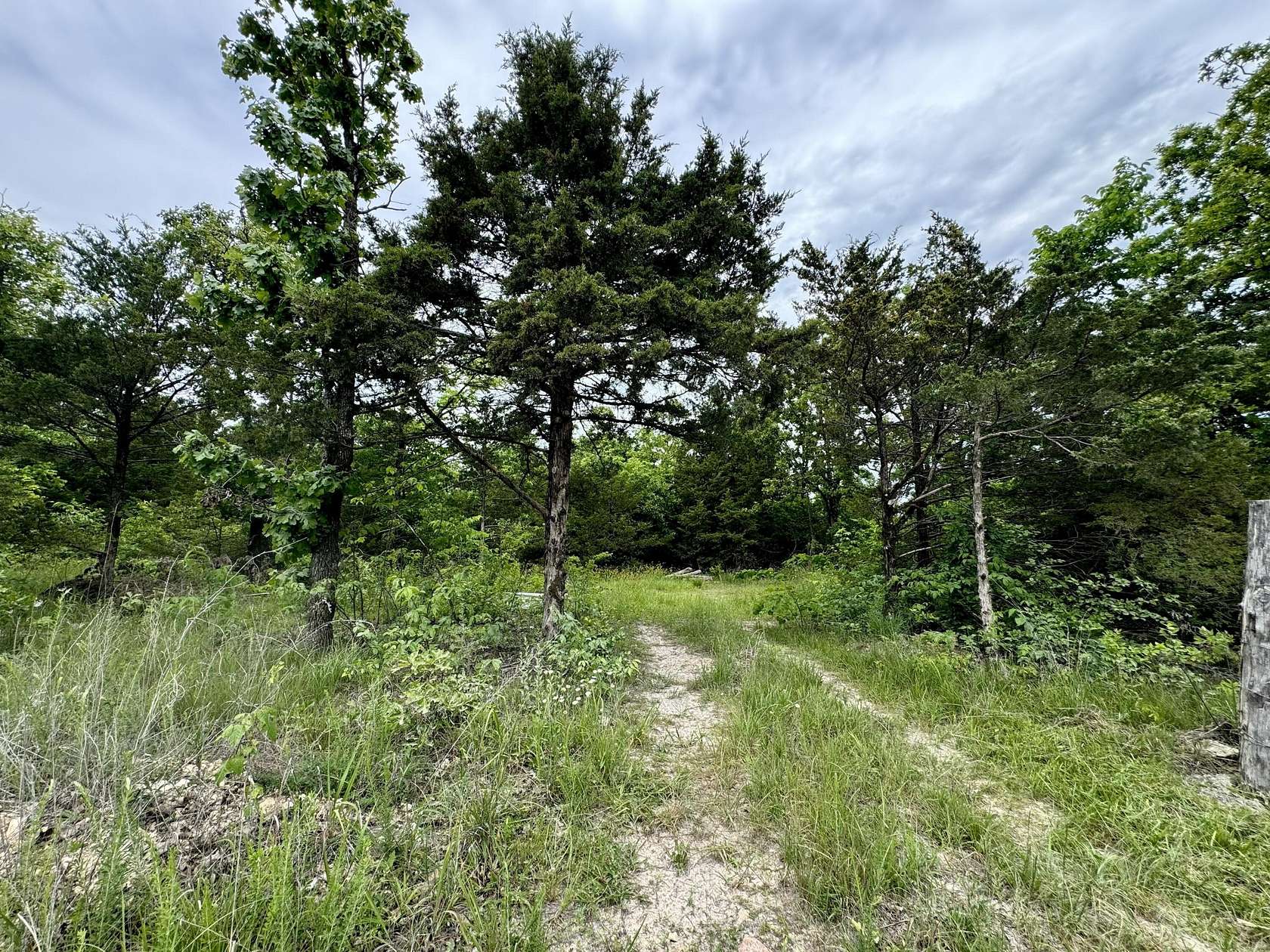 31.1 Acres of Recreational Land for Sale in Macomb, Missouri