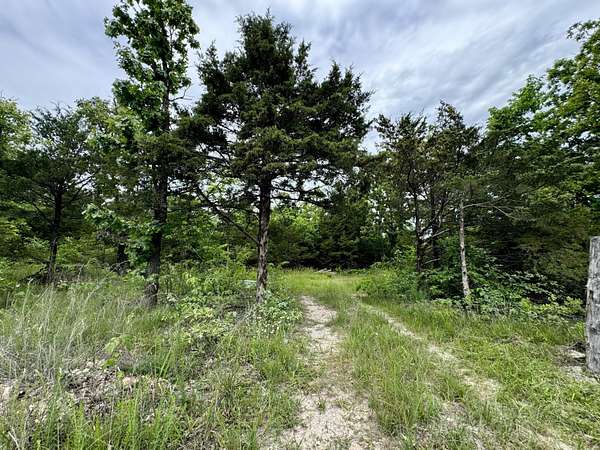 31.1 Acres of Recreational Land for Sale in Macomb, Missouri