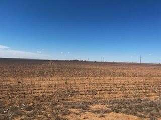 100 Acres of Land for Sale in Abernathy, Texas