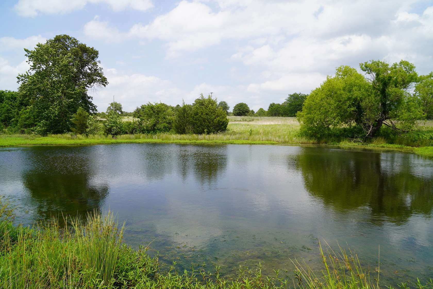 40 Acres of Land for Sale in Bristow, Oklahoma