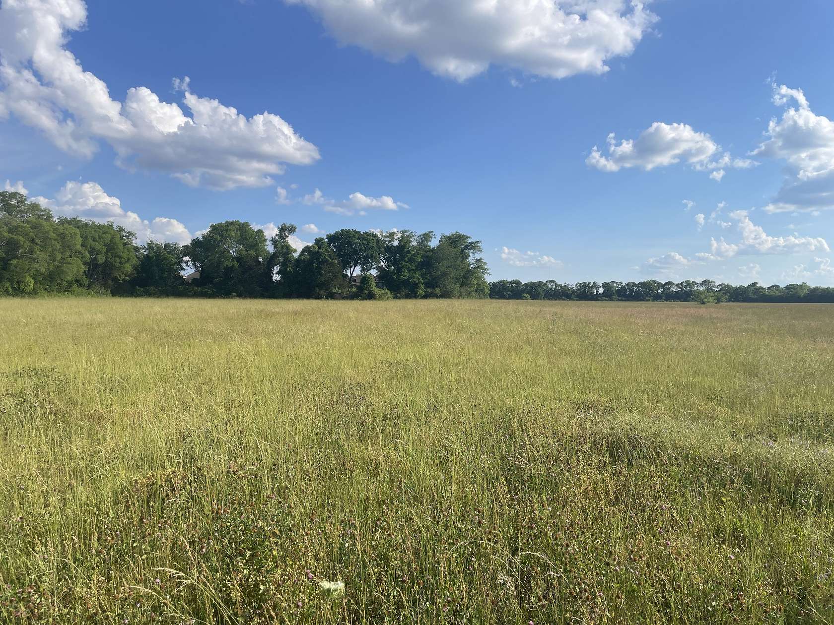 60 Acres of Land for Sale in Murfreesboro, Tennessee