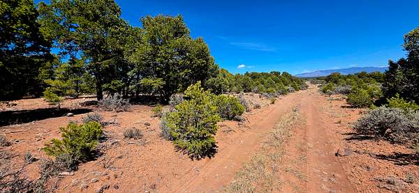 1 Acre of Residential Land for Sale in Tres Piedras, New Mexico