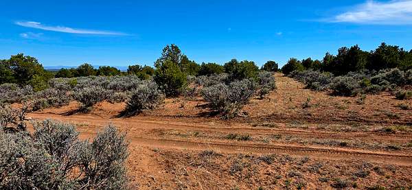 1 Acre of Residential Land for Sale in Tres Piedras, New Mexico