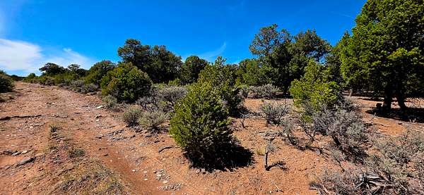 1.17 Acres of Residential Land for Sale in Tres Piedras, New Mexico