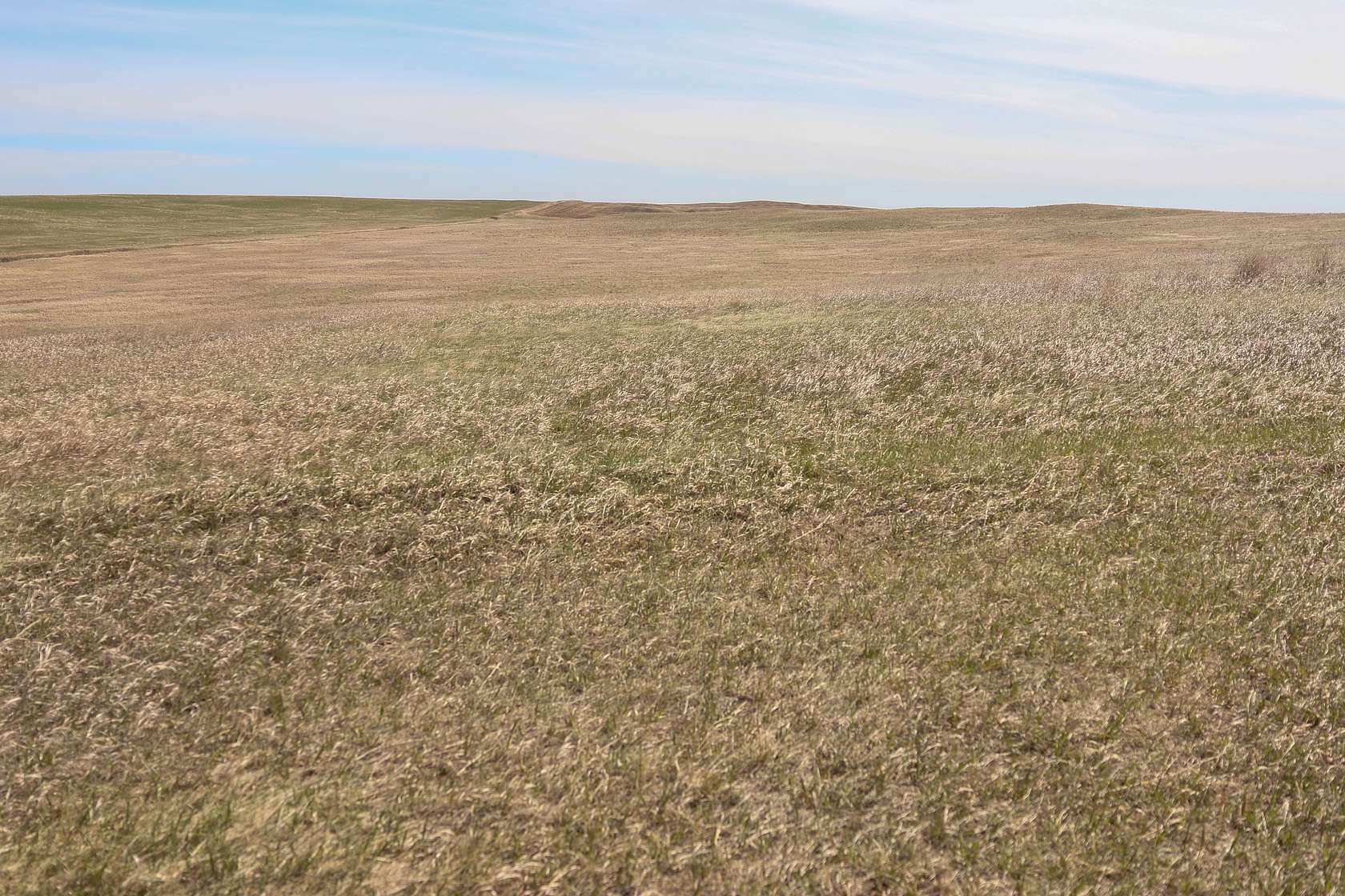 308 Acres of Agricultural Land for Sale in Flaxville, Montana