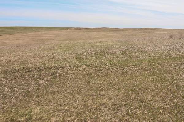 308 Acres of Agricultural Land for Sale in Flaxville, Montana