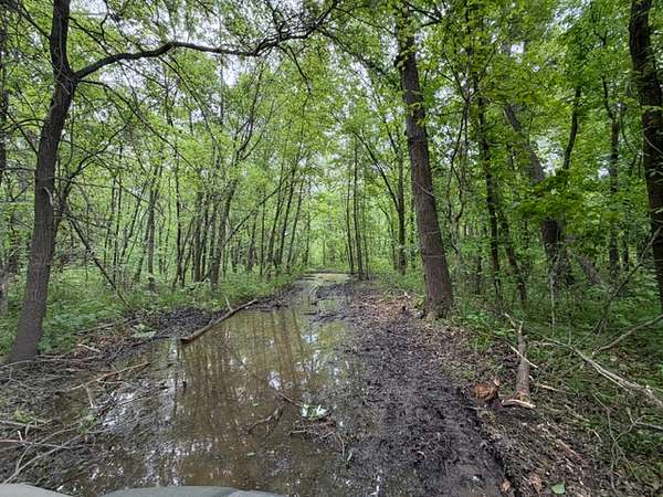 45 Acres of Land for Sale in Jameson, Missouri