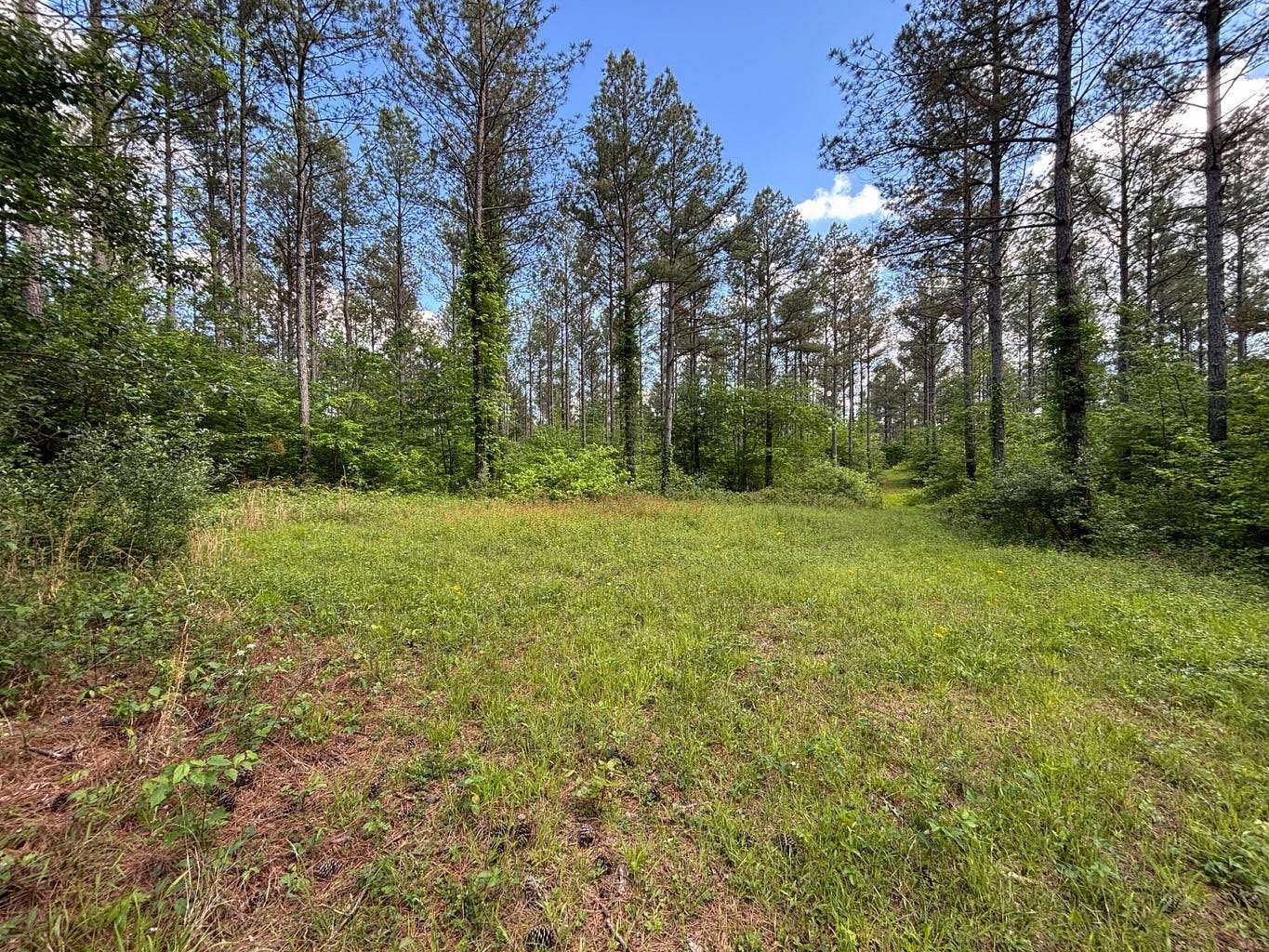 82 Acres of Land for Sale in Dunlap, Tennessee