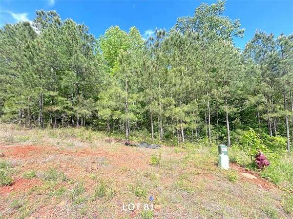 0.46 Acres of Residential Land for Sale in Temple, Georgia