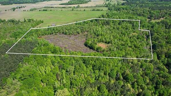 21.7 Acres of Recreational Land for Sale in Daingerfield, Texas