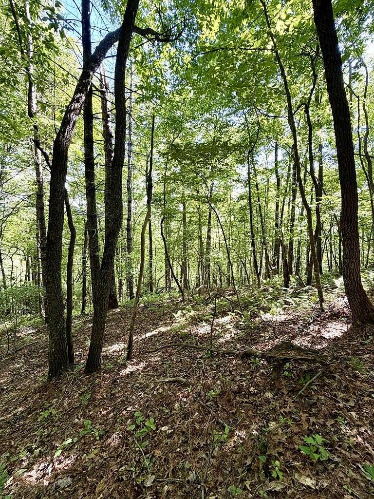 3 Acres of Residential Land for Sale in Murphy, North Carolina