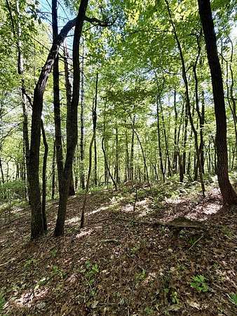 3 Acres of Residential Land for Sale in Murphy, North Carolina