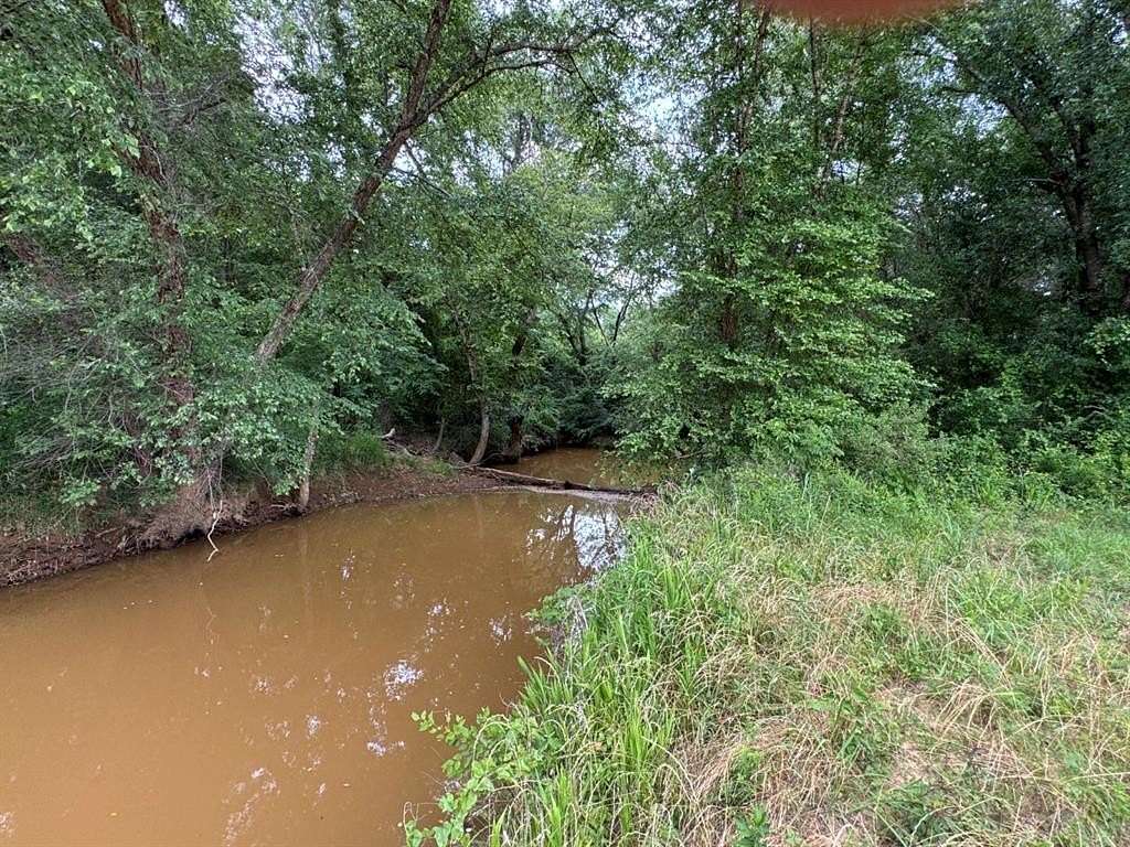 106 Acres of Recreational & Residential Land for Sale in Diana, Texas
