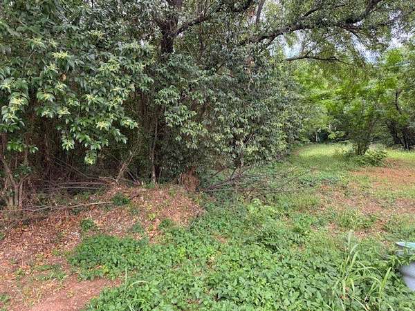 0.48 Acres of Residential Land for Sale in Granbury, Texas