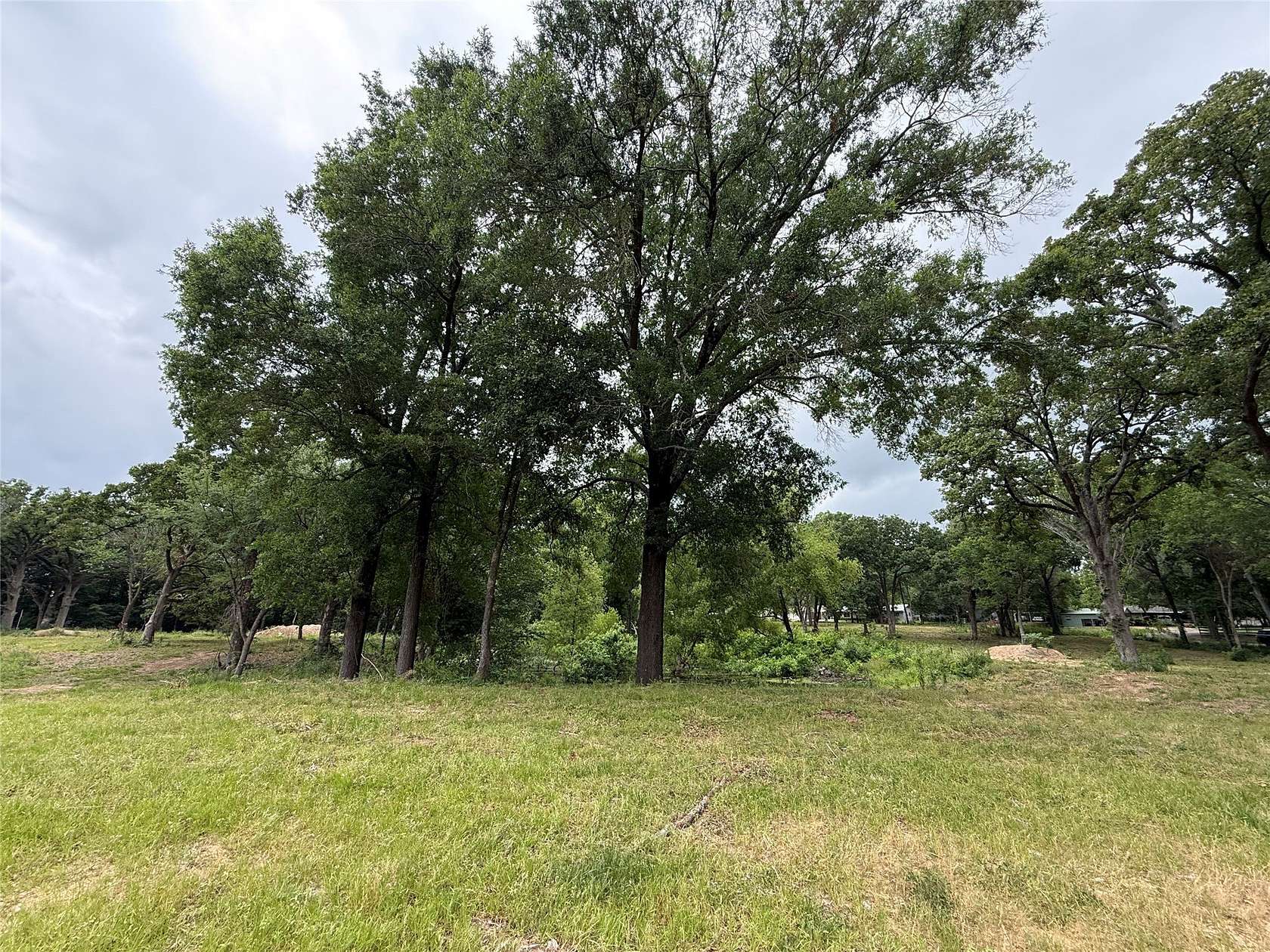 3.6 Acres of Residential Land for Sale in Edgewood, Texas