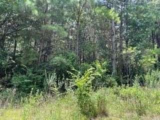 2.35 Acres of Residential Land for Sale in Pittsburg, Texas
