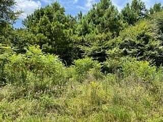 6 Acres of Residential Land for Sale in Pittsburg, Texas