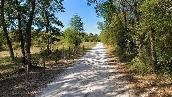 0.33 Acres of Residential Land for Sale in Trinity, Texas