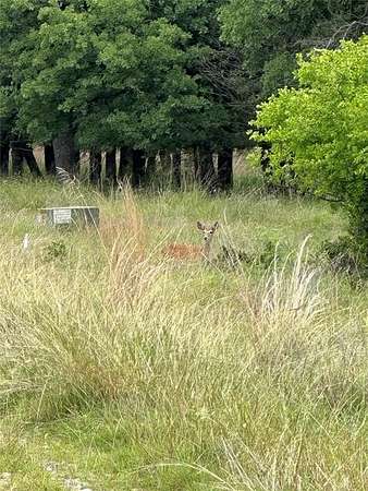 1.34 Acres of Residential Land for Sale in Chico, Texas