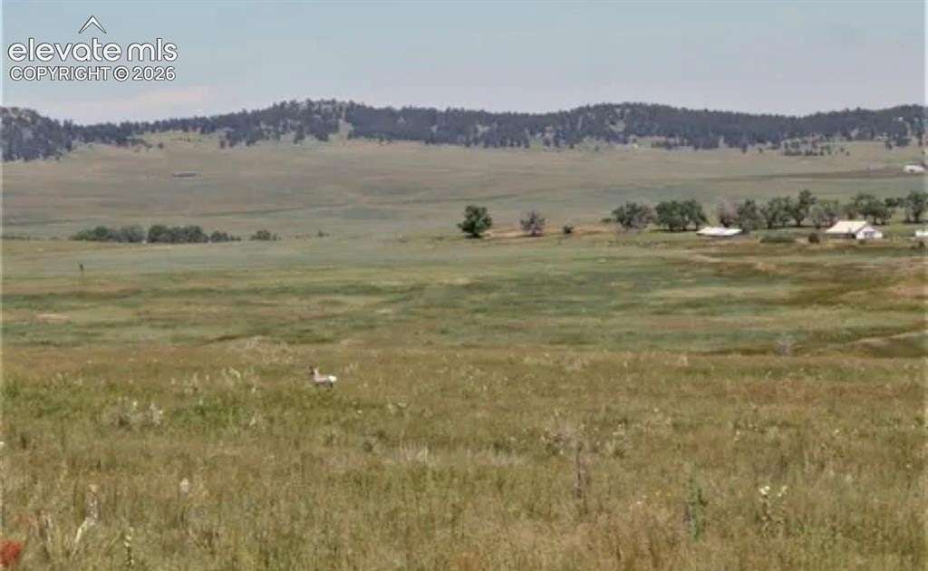 40.3 Acres of Agricultural & Residential Land for Sale in Calhan, Colorado