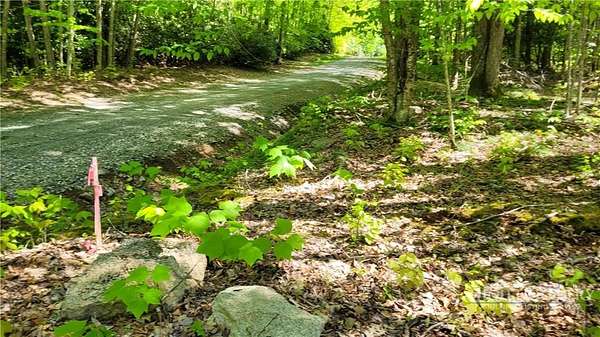 1 Acre of Land for Sale in Beech Mountain, North Carolina