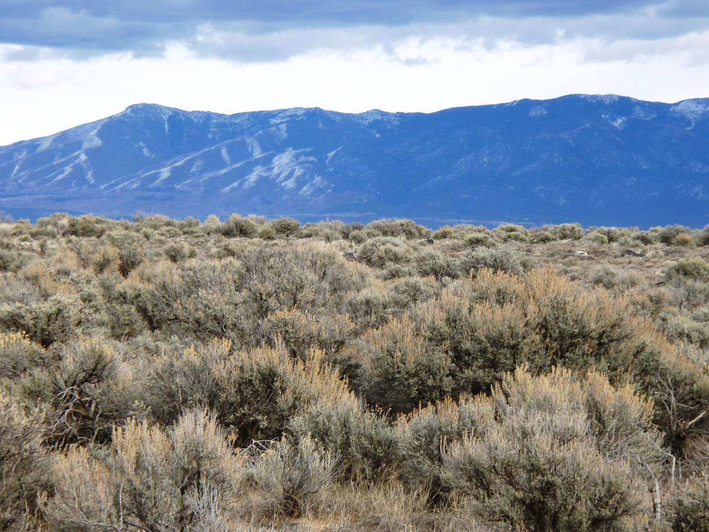 0.25 Acres of Residential Land for Sale in Tres Piedras, New Mexico