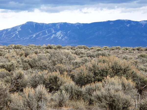 0.25 Acres of Residential Land for Sale in Tres Piedras, New Mexico