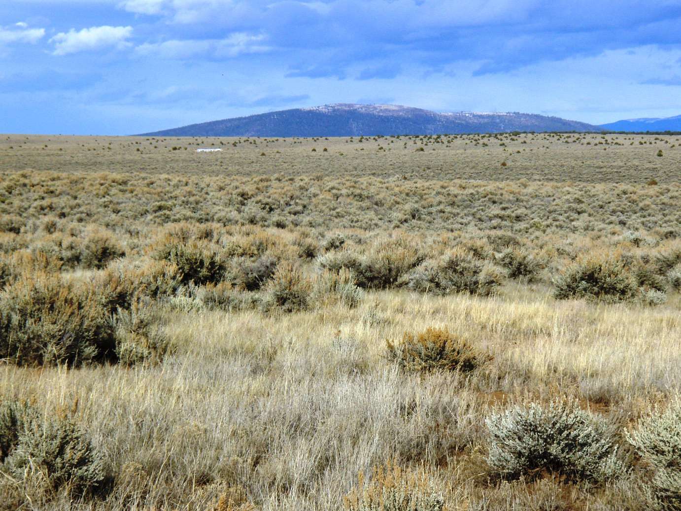 0.25 Acres of Residential Land for Sale in Tres Piedras, New Mexico
