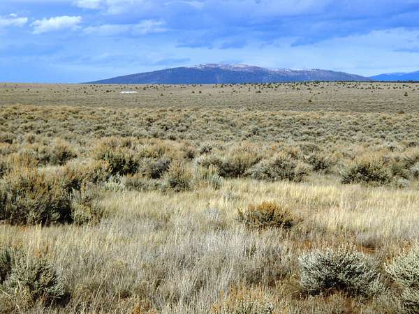 0.25 Acres of Residential Land for Sale in Tres Piedras, New Mexico