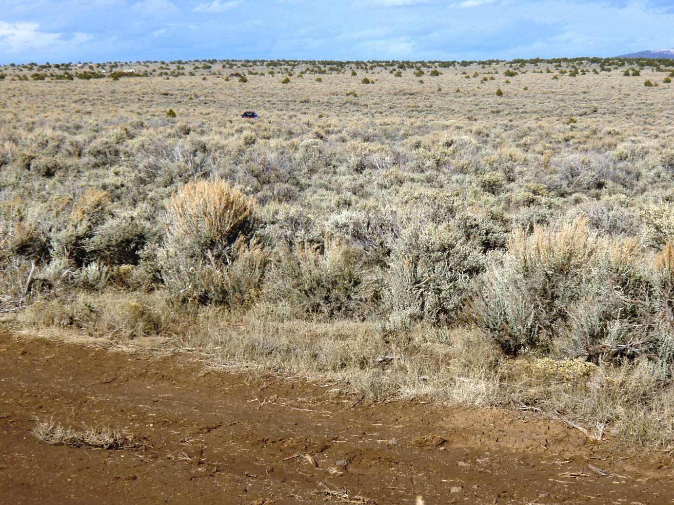 0.25 Acres of Residential Land for Sale in Tres Piedras, New Mexico