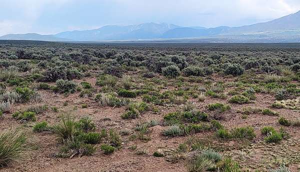 0.5 Acres of Residential Land for Sale in Tres Piedras, New Mexico