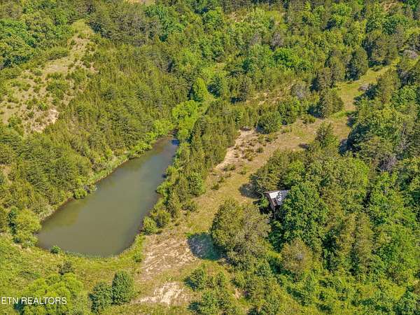 55.2 Acres of Land for Sale in Kodak, Tennessee