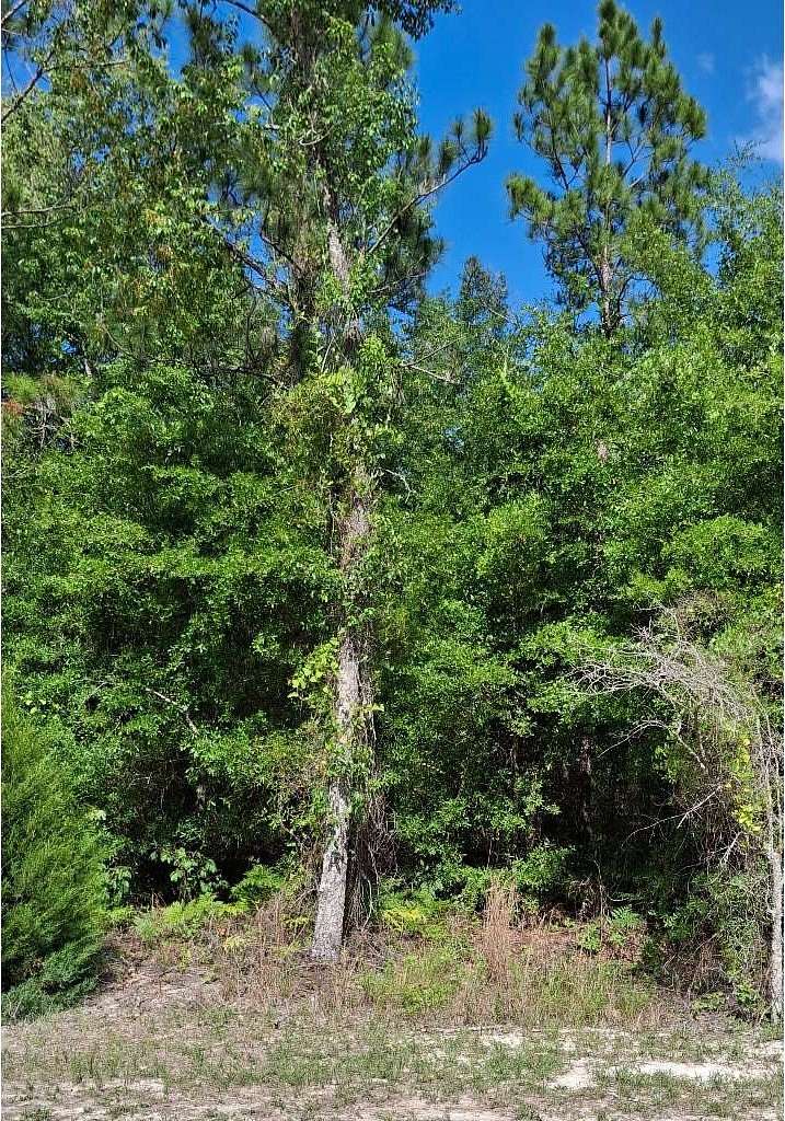 4 Acres of Residential Land for Sale in O'Brien, Florida