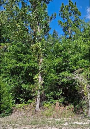 4 Acres of Residential Land for Sale in O'Brien, Florida