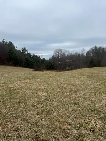 32.5 Acres of Recreational Land for Sale in Meadows of Dan, Virginia