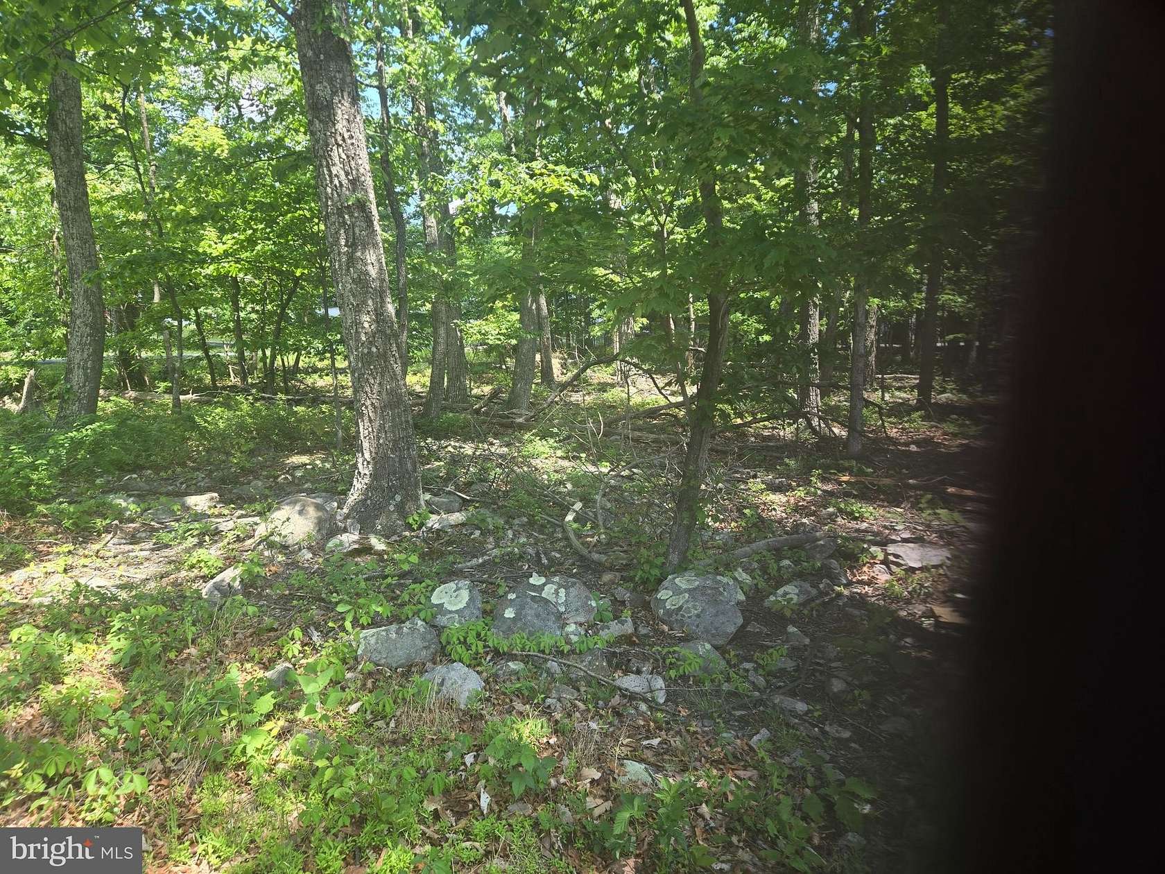 0.34 Acres of Land for Sale in Winchester, Virginia