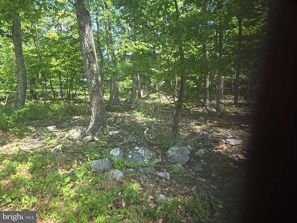 0.34 Acres of Land for Sale in Winchester, Virginia