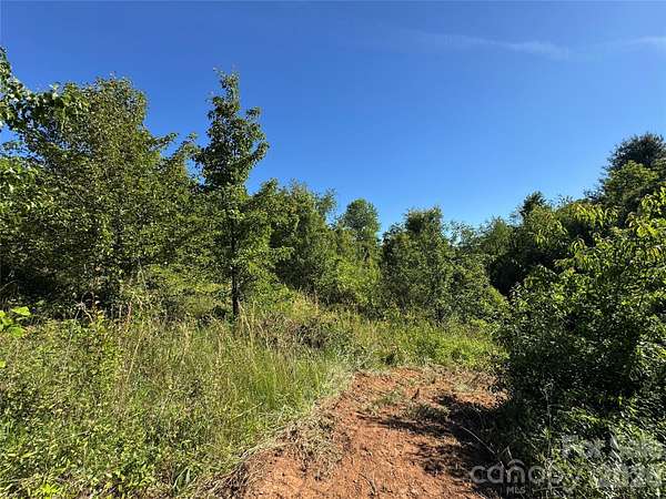 1.7 Acres of Residential Land for Sale in Candler, North Carolina