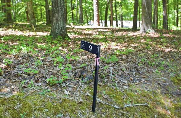 0.47 Acres of Residential Land for Sale in Salem, South Carolina