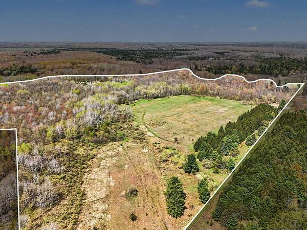 67.4 Acres of Land for Sale in Branch Township, Michigan