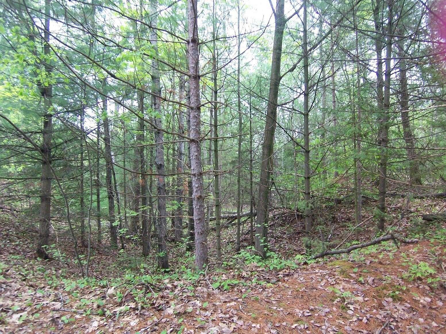 2 Acres of Residential Land for Sale in Sobieski, Wisconsin