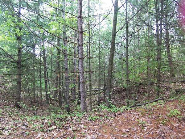 2 Acres of Residential Land for Sale in Sobieski, Wisconsin