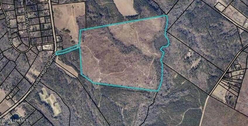 178 Acres of Recreational Land for Sale in Keysville, Georgia