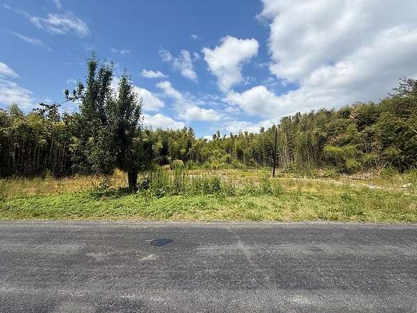 0.24 Acres of Residential Land for Sale in Atlantic, Virginia