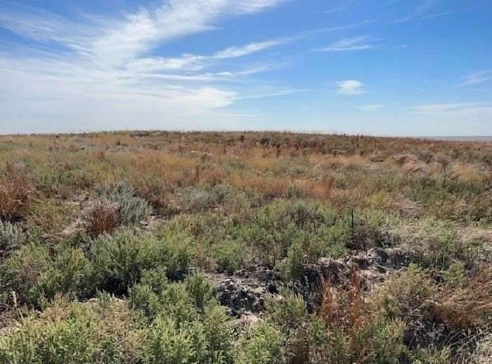 80 Acres of Agricultural & Residential Land for Sale in Gage, Oklahoma