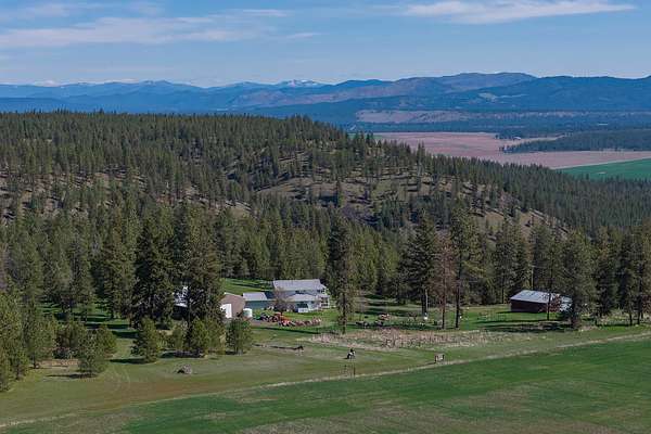 59 Acres of Recreational & Residential Land for Sale in Davenport, Washington